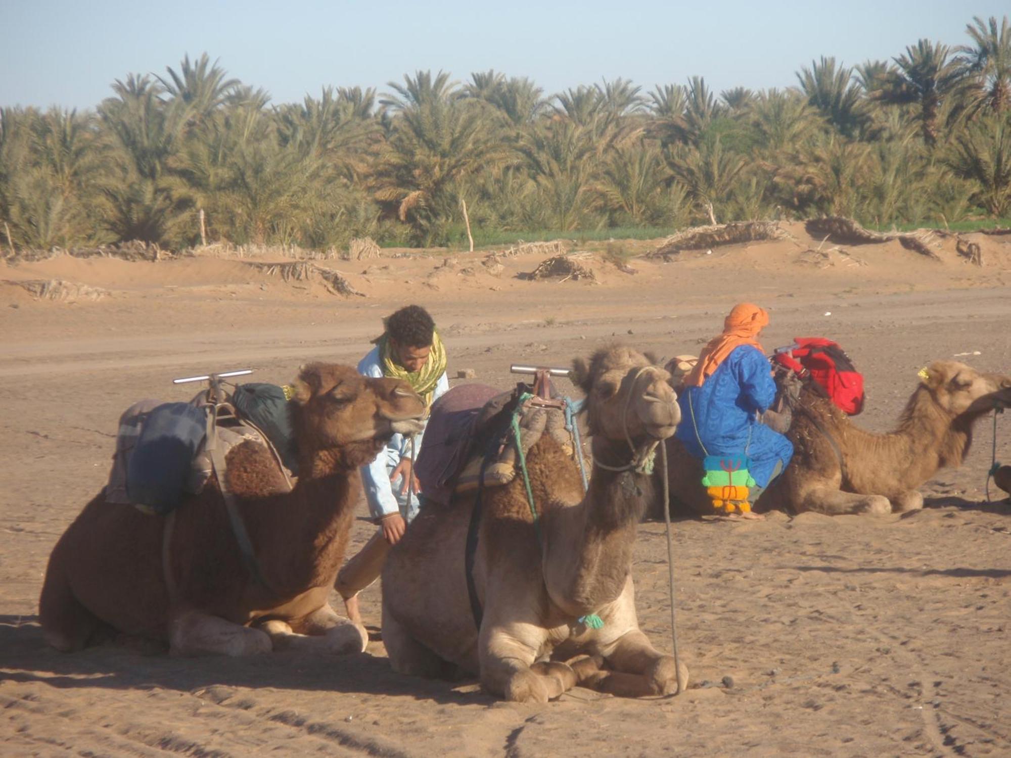 Riad Aicha & Camel Trekking Мерзуга Экстерьер фото