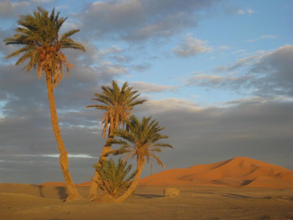 Riad Aicha & Camel Trekking Мерзуга Экстерьер фото